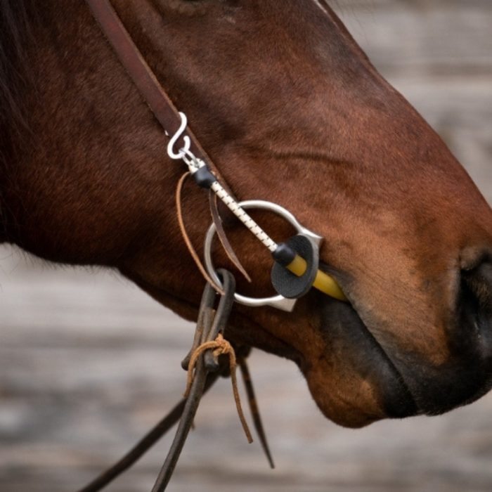 Thinline Bridle Busy Buddy