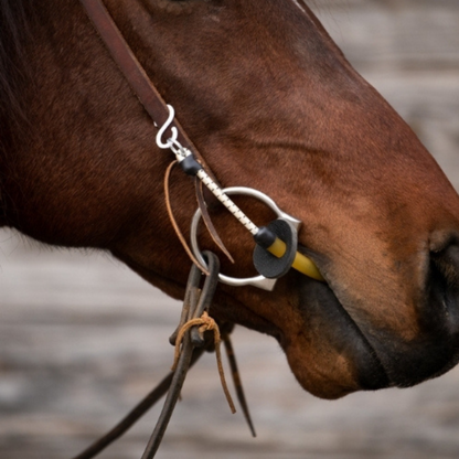 Thinline Bridle Busy Buddy