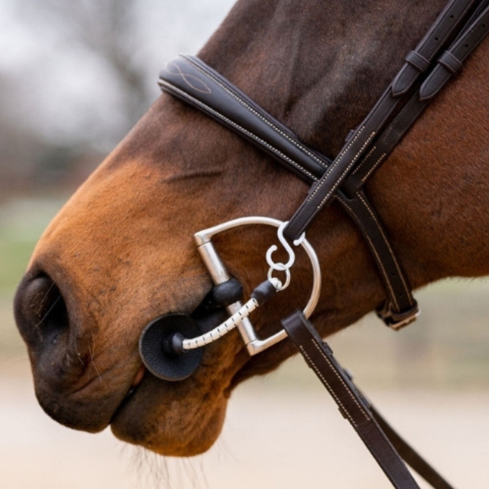 Thinline Bridle Busy Buddy