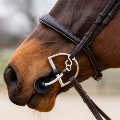 Thinline Bridle Busy Buddy