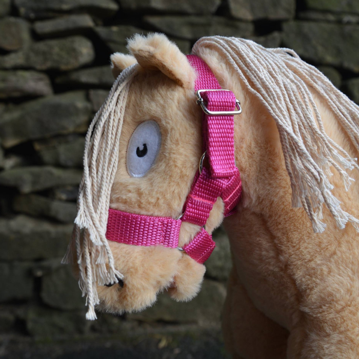 Crafty Ponies Nylon Halter & Booklet