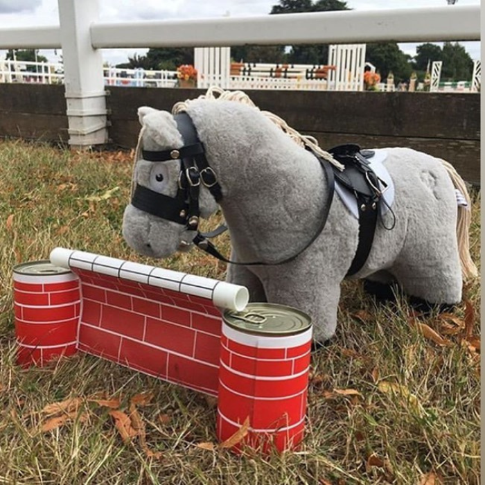 Crafty Ponies Show Jump Set & Booklet