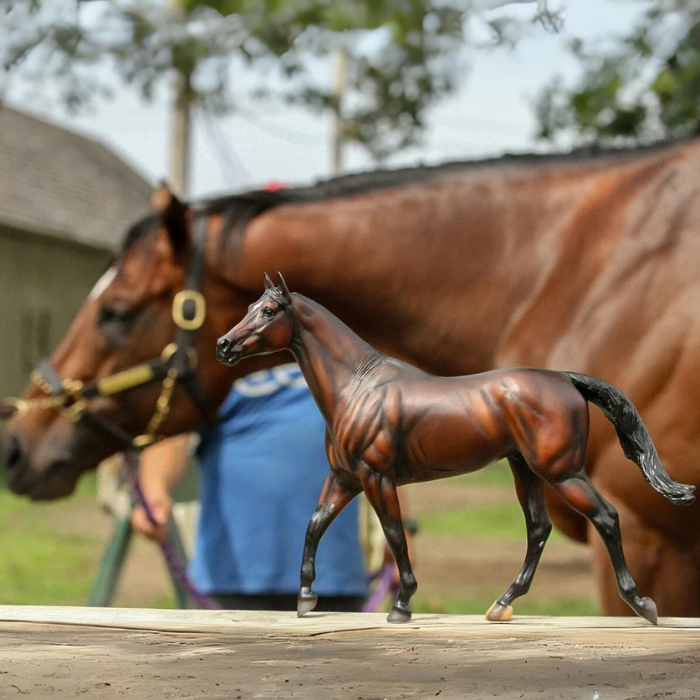 Breyer Cody&