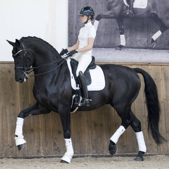 LeMieux Loire Classic Dressage Square Pad, White