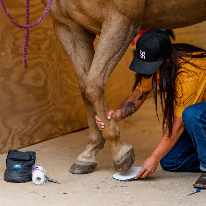 ThinLine+ Protection Hoof Pads