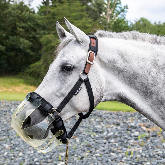 ThinLine Flexible Filly Slow Feed Grazing Muzzle,  2.5 cm Opening