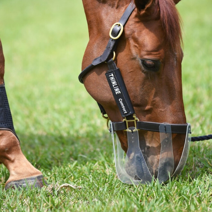 ThinLine Flexible Filly Slow Feed Grazing Muzzle,  2.5 cm Opening