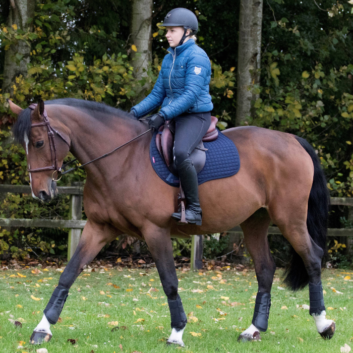 LeMieux Cotton GP Square Saddle Pad, Navy