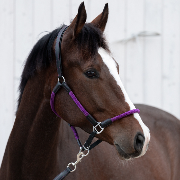 Kavalkade Cavo Rope Halter Set with Lead, Purple