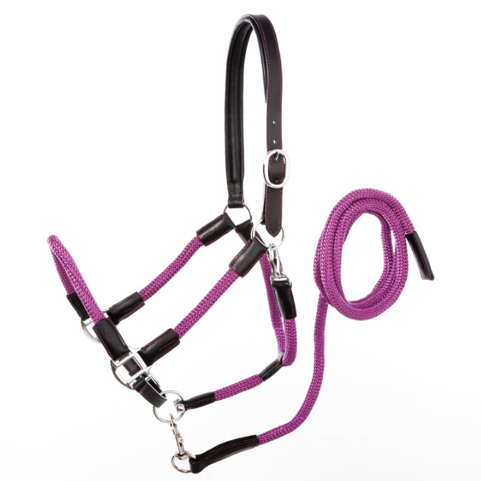 Kavalkade Cavo Rope Halter Set with Lead, Purple