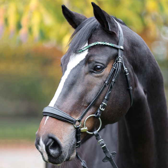 Kavalkade "Green Sparkle" Black Browband