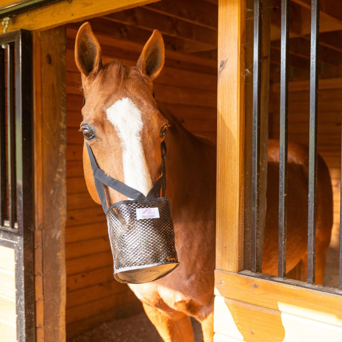 Best Friend Soft Stall Muzzle