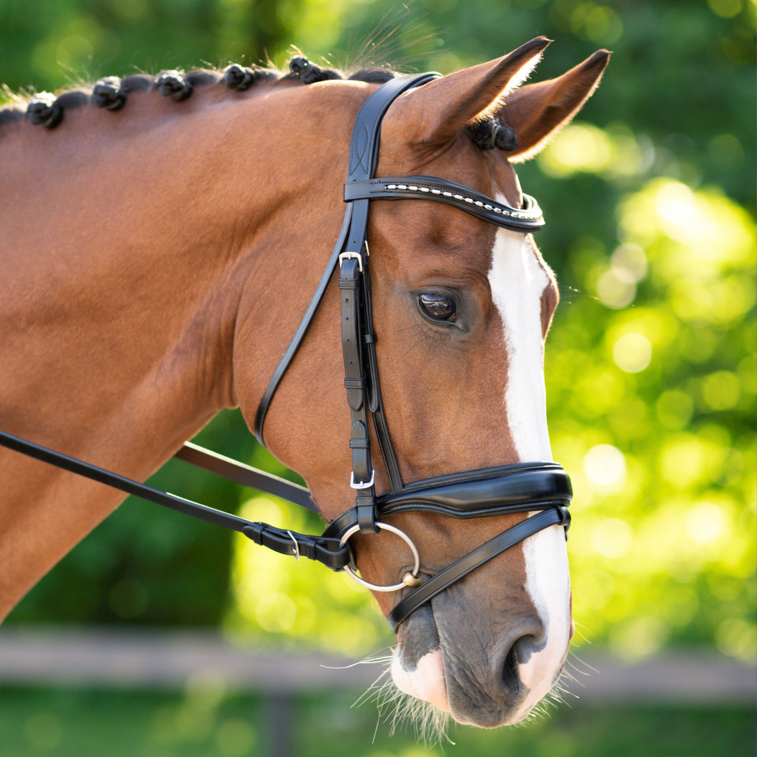 Red Barn Topline Bridle w/ Flash &amp; Crank