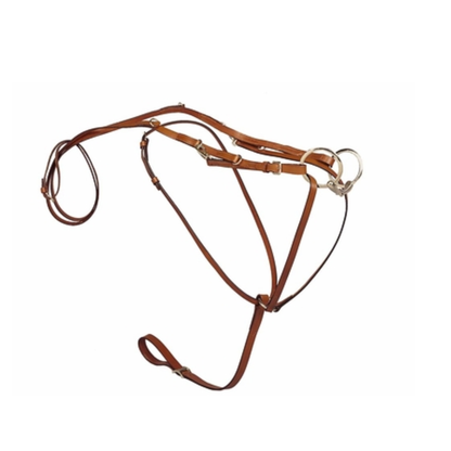 German Martingale with Reins