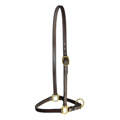 Tory Leather Grooming Halter