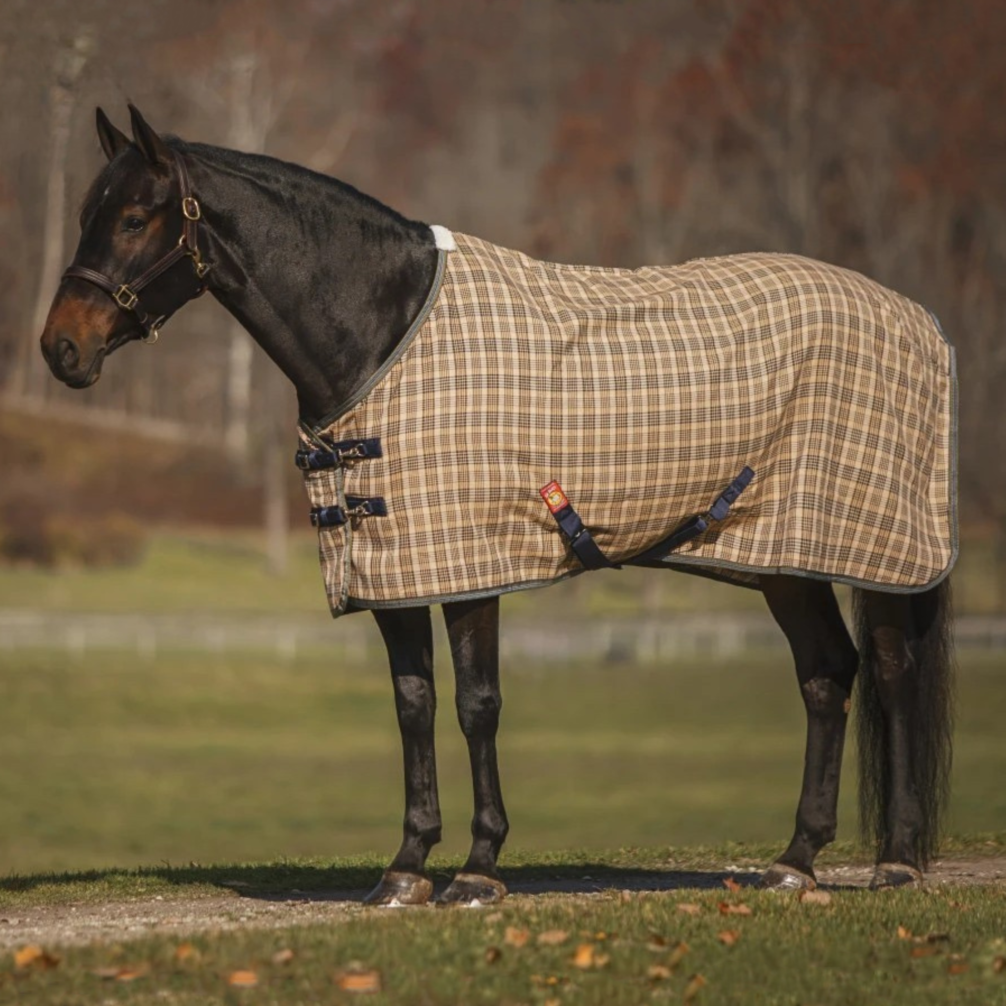5/A Baker Deluxe Stable Sheet