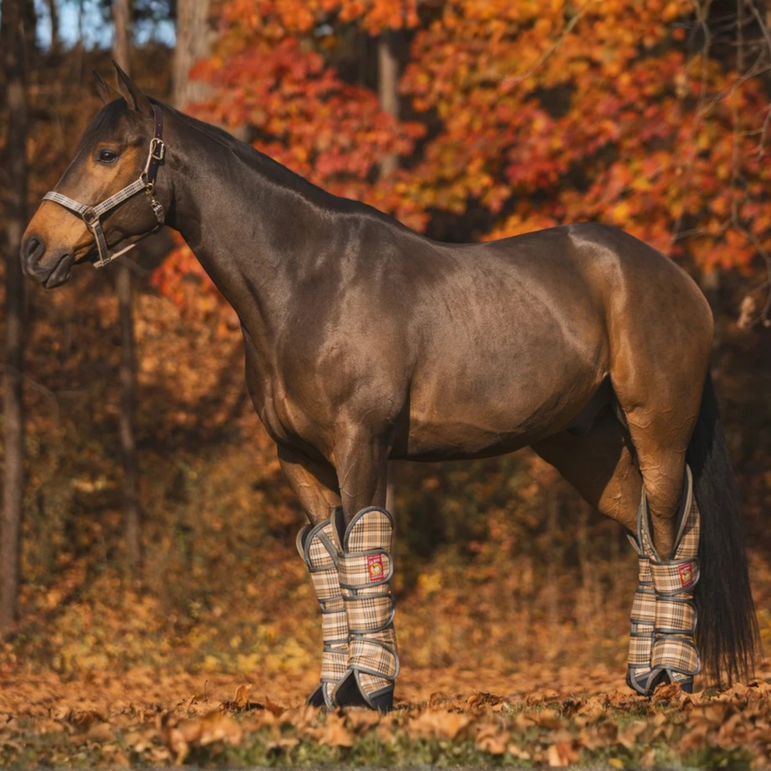 5/A Baker® Poly Trailering Boots