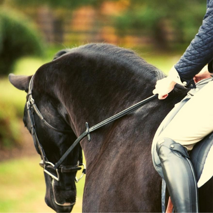 Thinline Reins 60&quot; with Buckle Ends