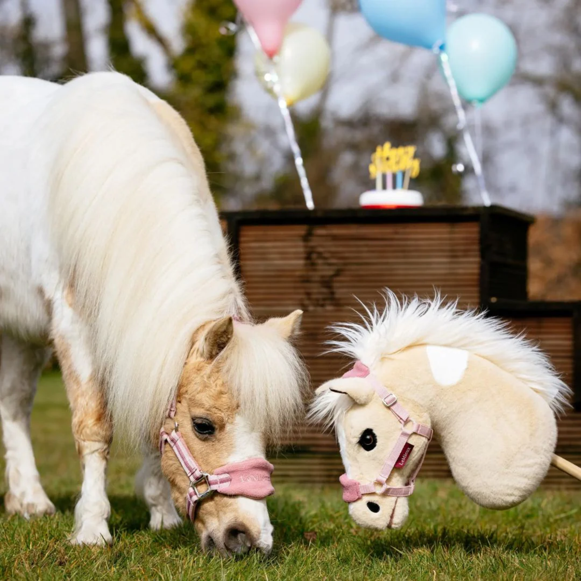 LeMieux Hobby Horse Lemon