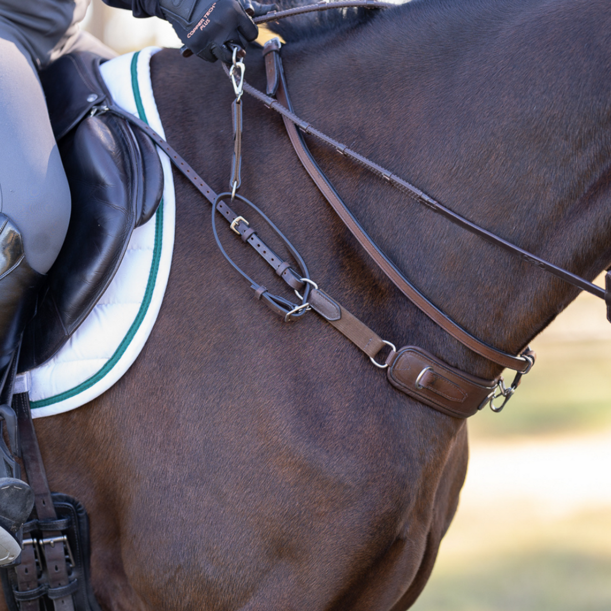 Correct Connect 3 in 1 breastplate in brown.