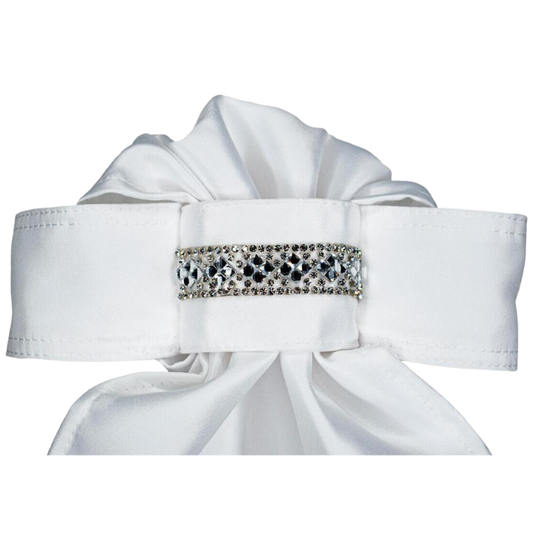 All Tied Up Glenn Collection Ruffled Crystal Bar Stock Tie