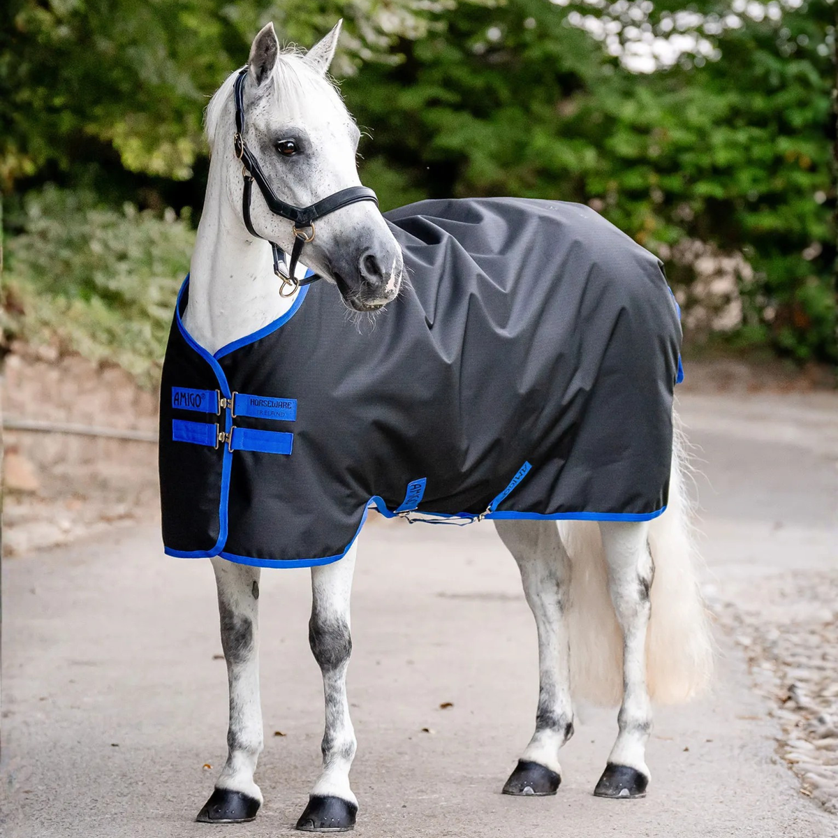 Amigo Ripstop 900D Pony Turnout Sheet, Black/Classic Blue, 0g