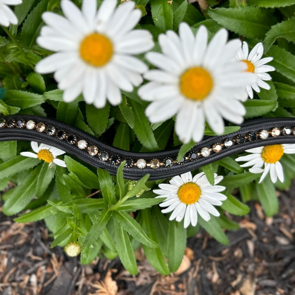 Red Barn Curved Cobalt & Copper Browband