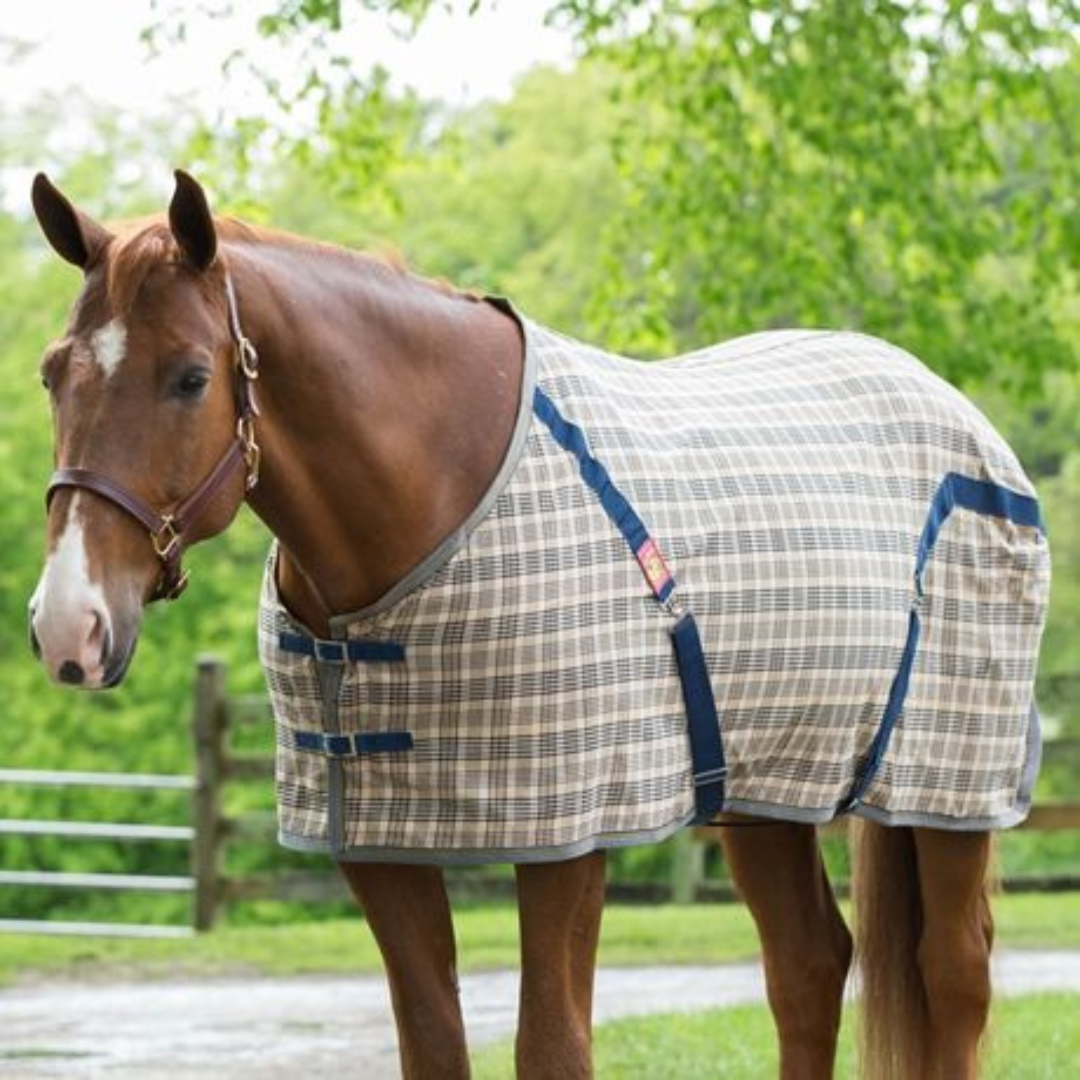 5/A Baker Deluxe Stable Sheet