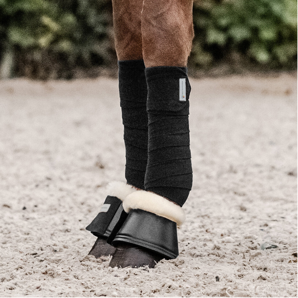 Image of Waldhausen's black lambskin bell boots on the front legs of a chestnut horse.