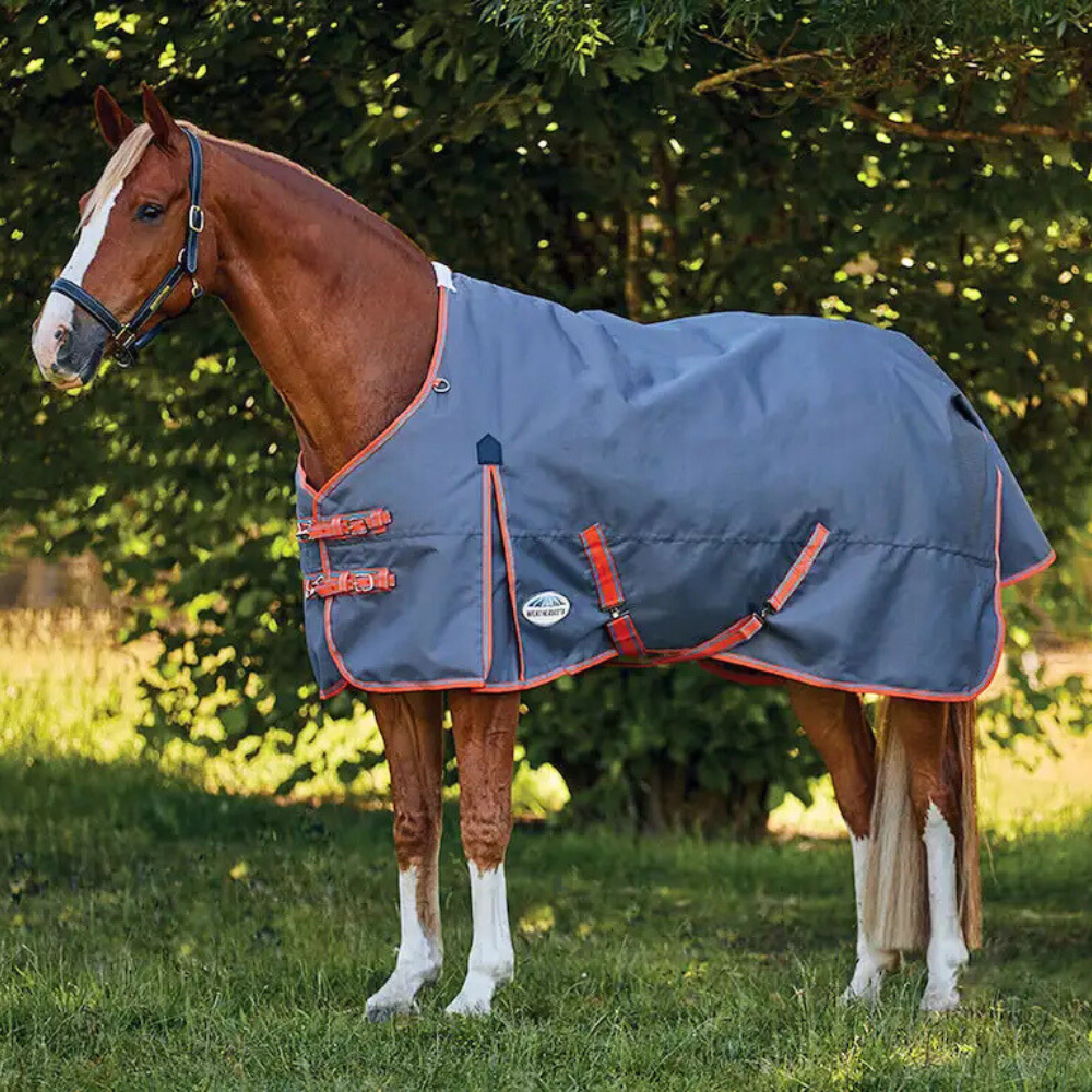 Image of a chestnut colored horse wearing Weatherbeeta's Comfitec Essential Plus Standard Neck light weight turnout blanket.