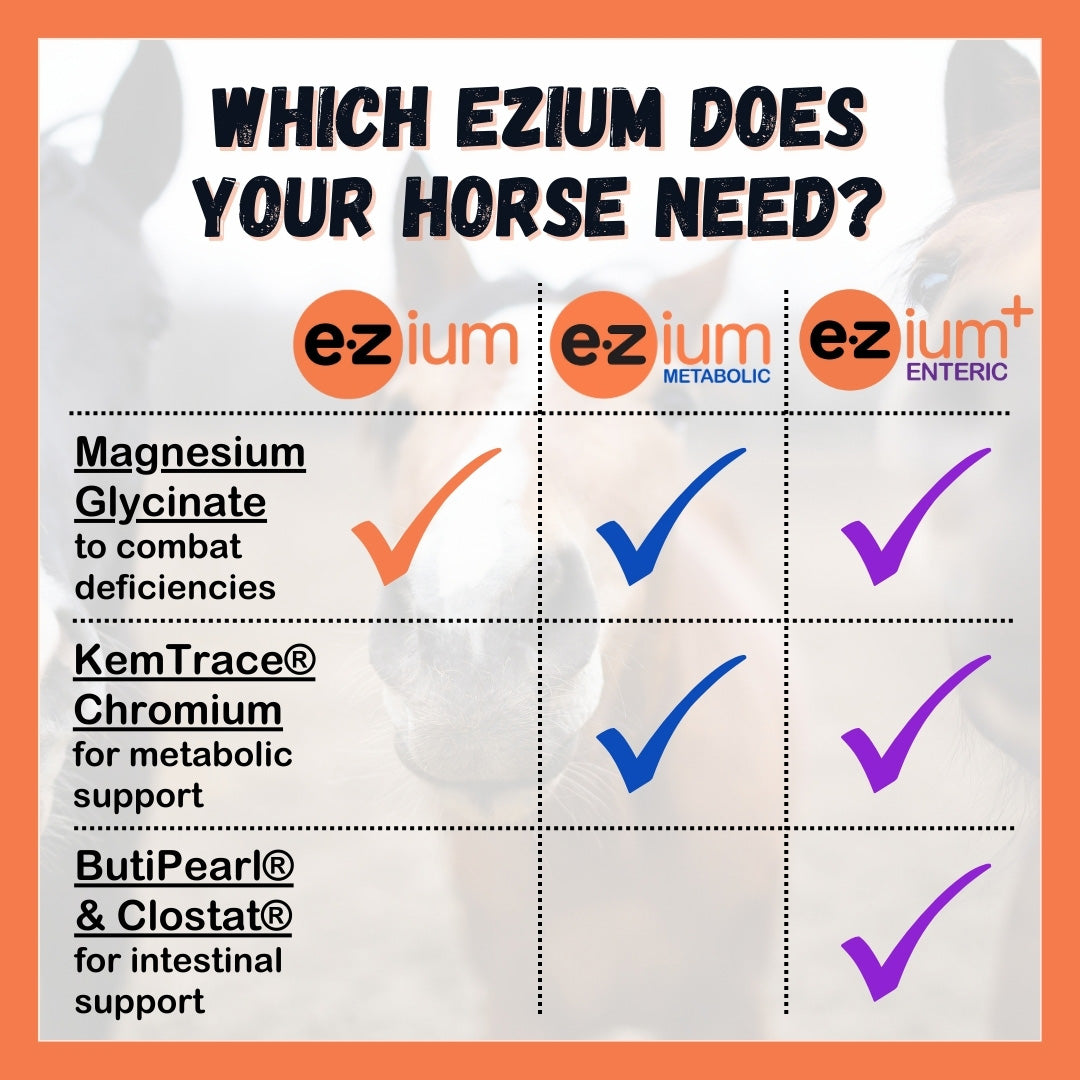 EZium 9.5 lb Refill Bag, 1 Month Supply, Persimmon Flavor