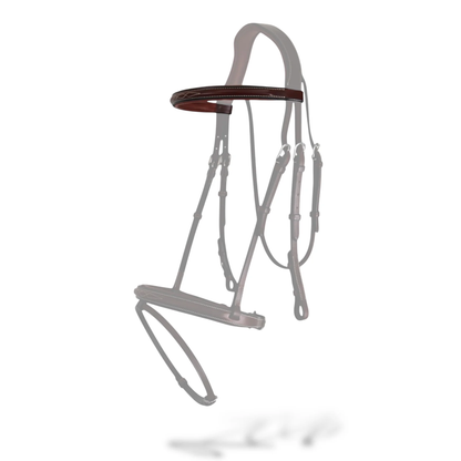 AJR Sport Straight Browband Jumper Collection