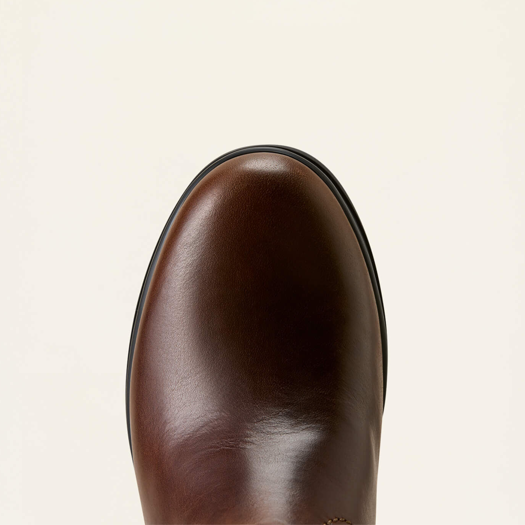 Ariat Windsor Waterproof Boot