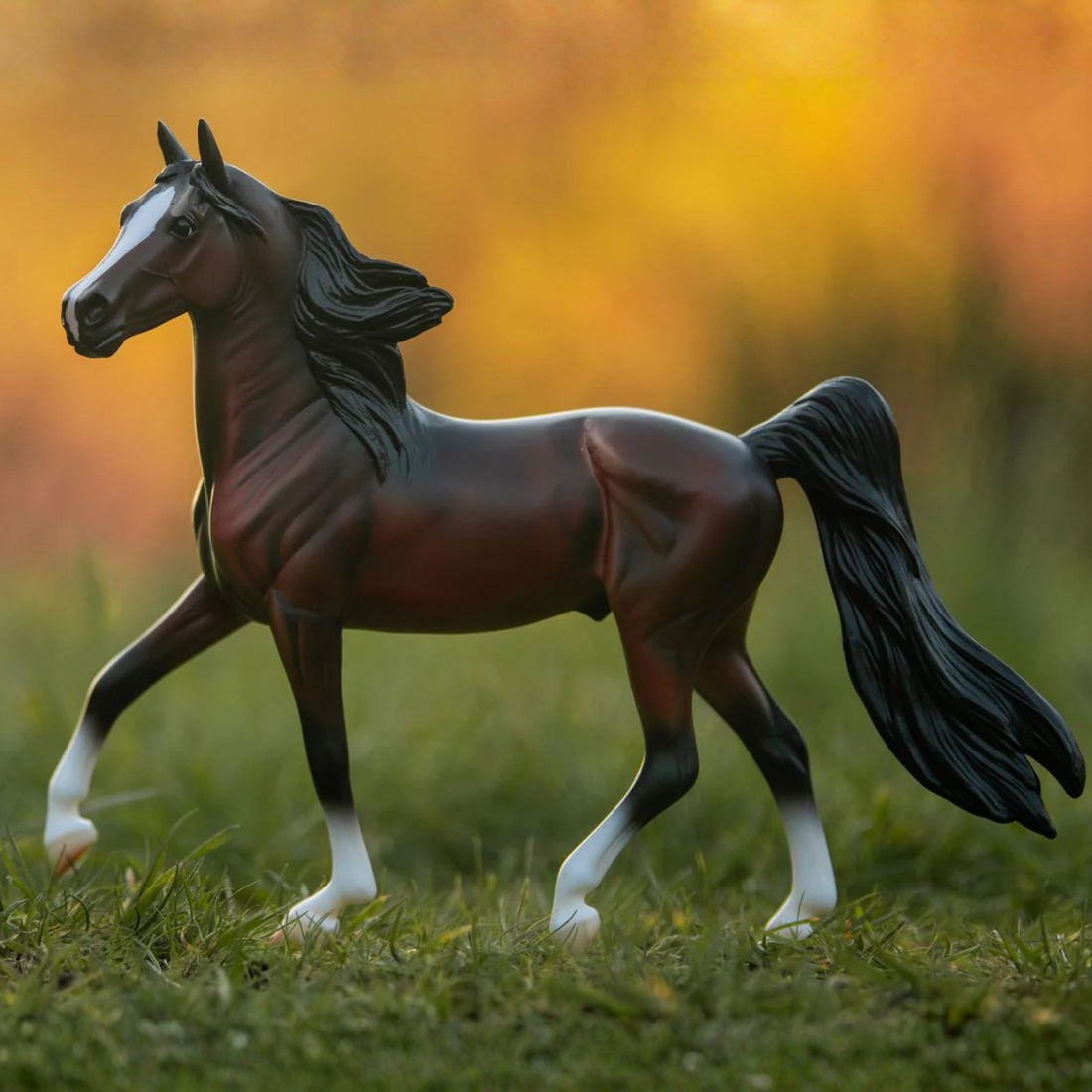 Breyer Bay Morgan