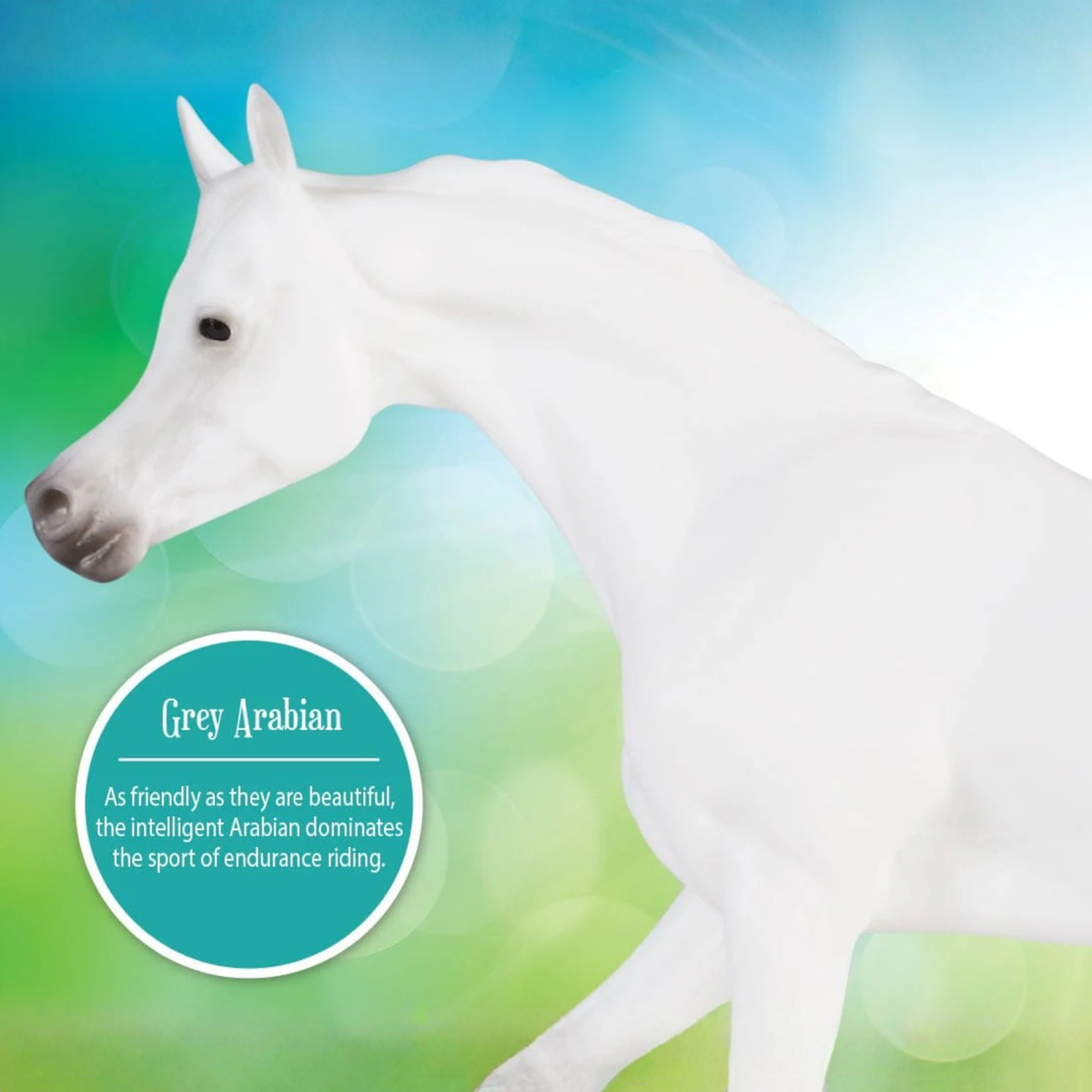 Breyer Grey Arabian