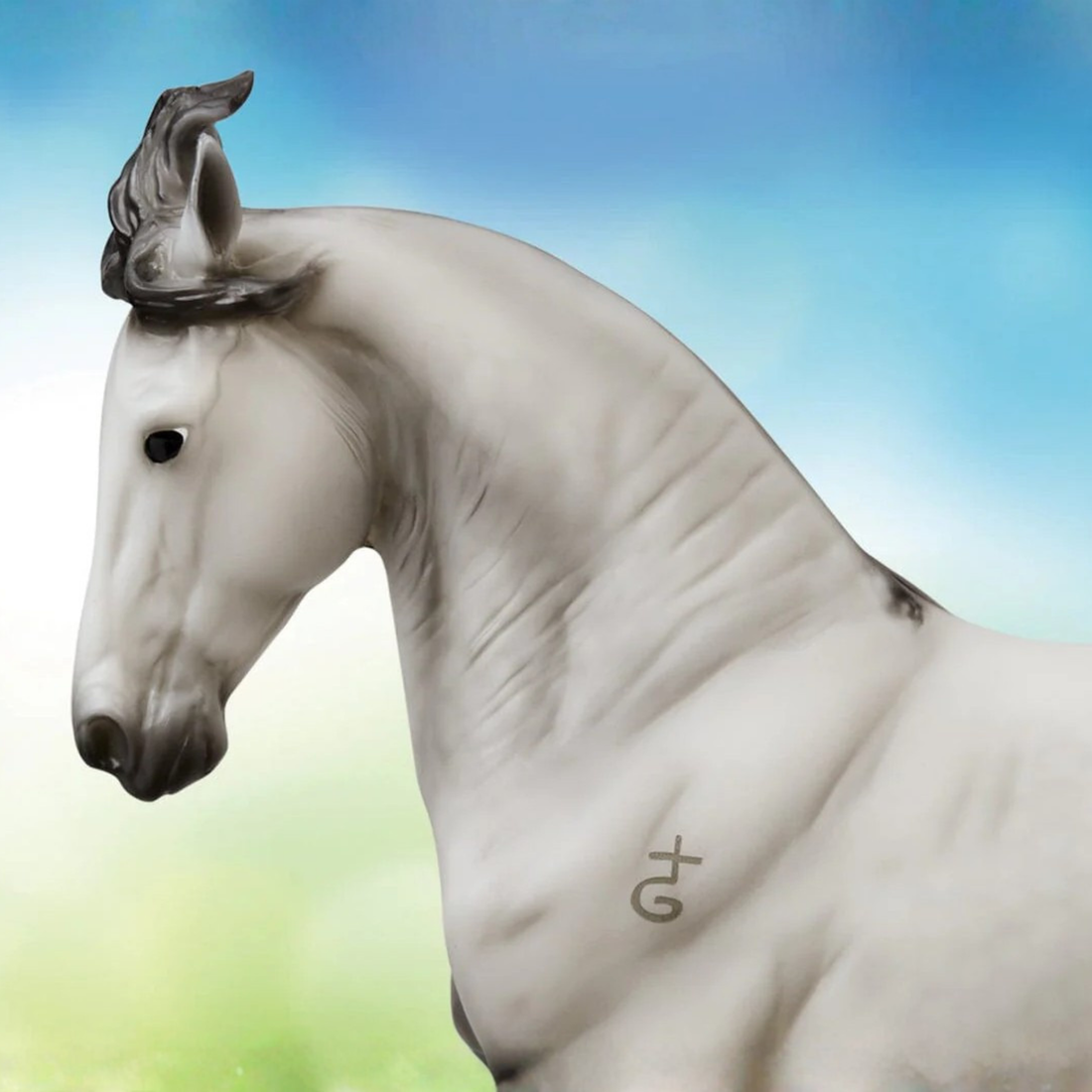 Breyer Jaguel Hilton, Criollo Stallion