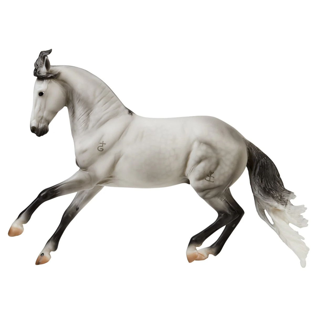 Breyer Jaguel Hilton, Criollo Stallion