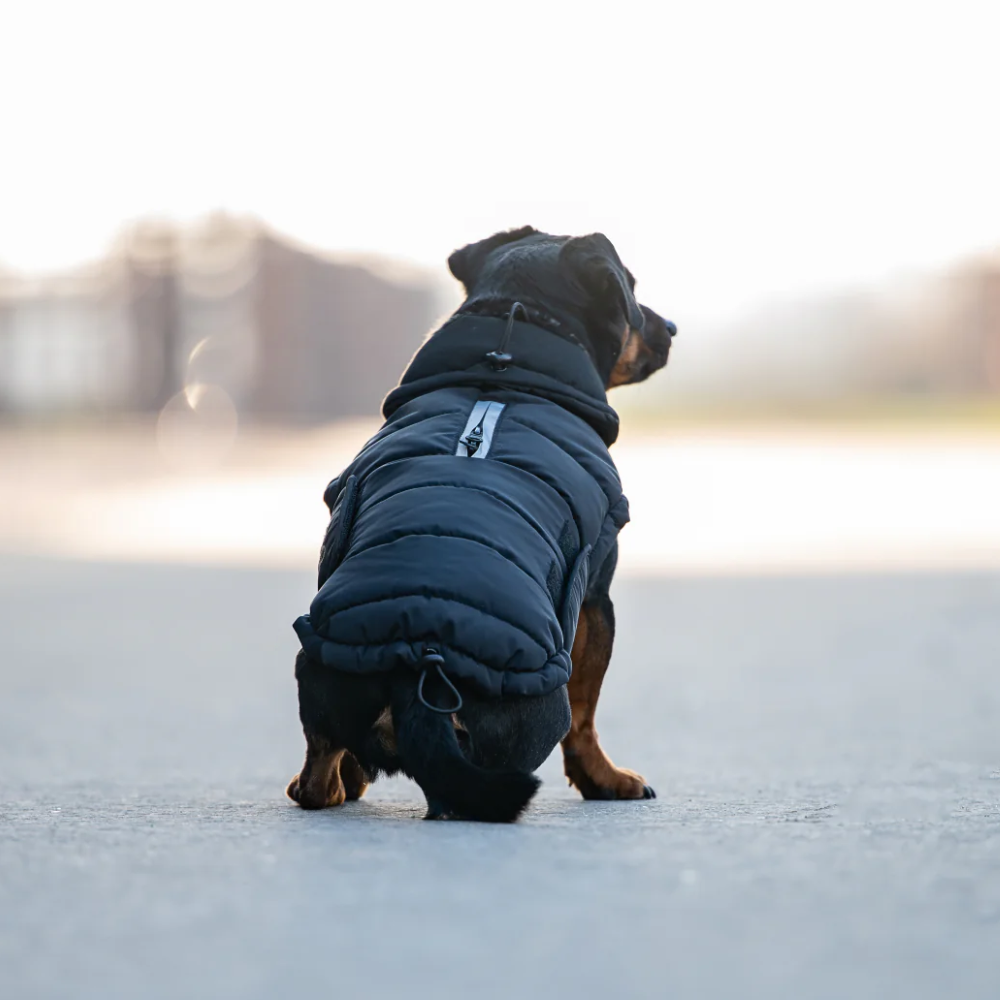 Catago FIR-Tech Puffer Dog Rug