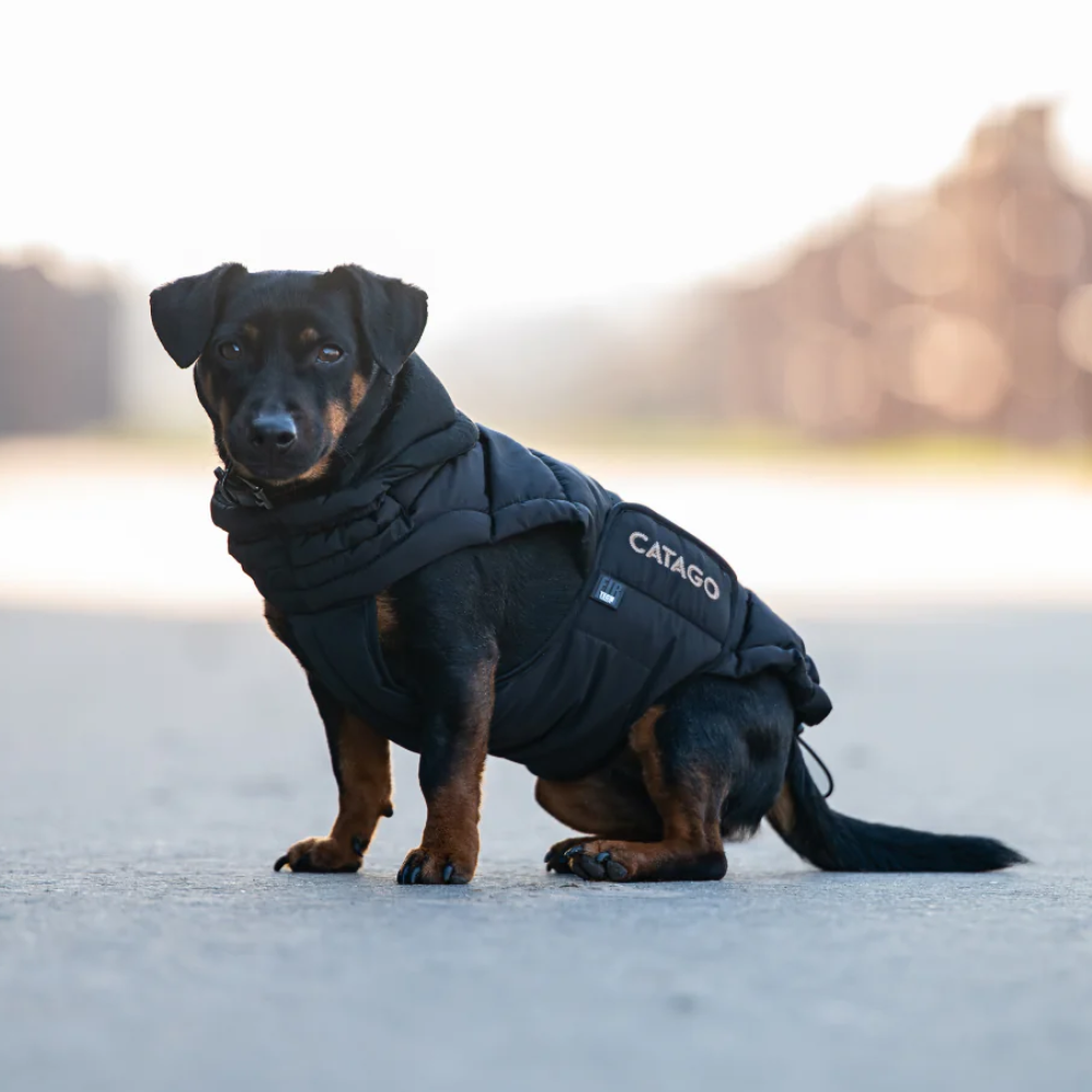 Catago FIR-Tech Puffer Dog Rug