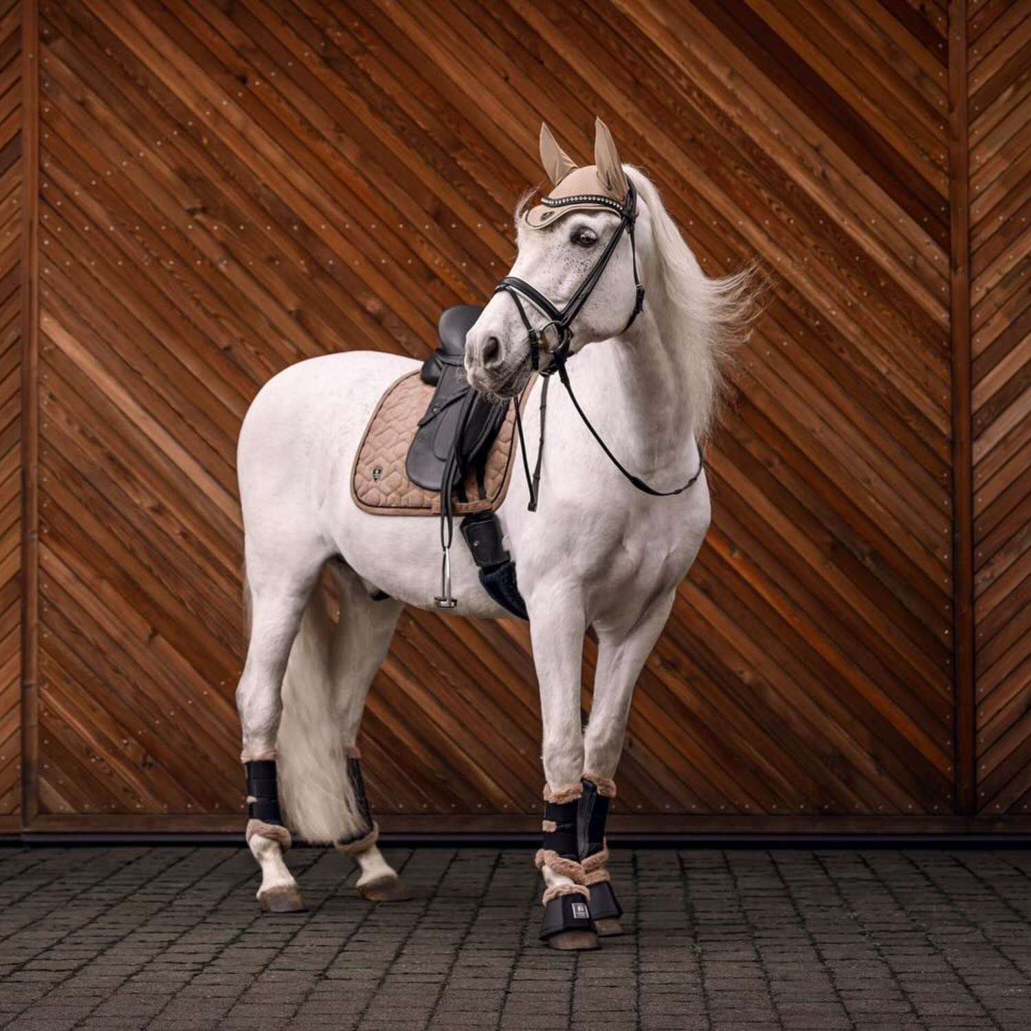 Cavallo Pino Dressage Pad, Biscuit