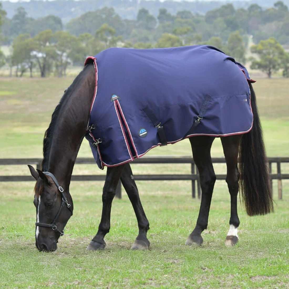 Weatherbeeta ComFiTec Essential Turnout 0gm, Navy/Burgundy