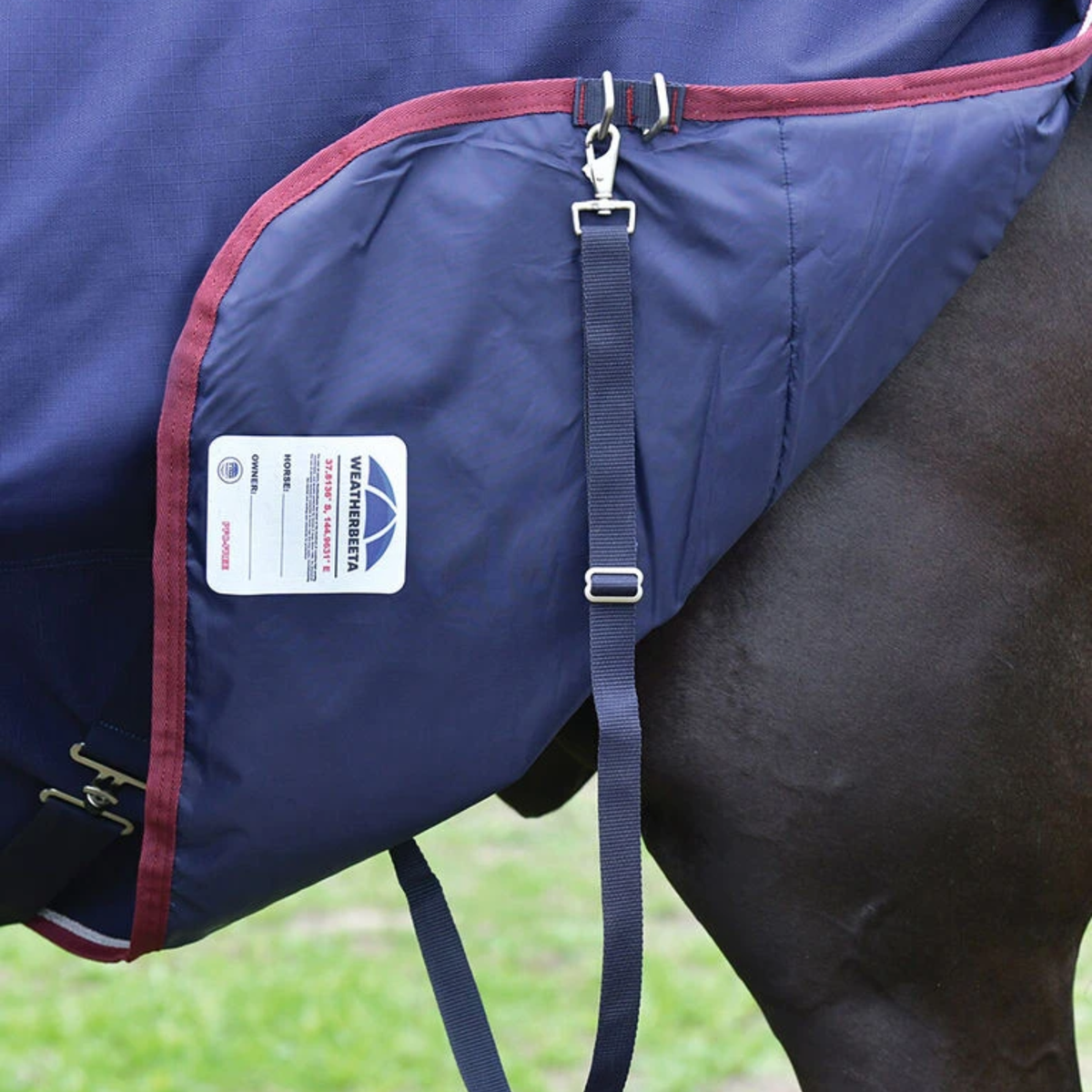 Weatherbeeta Leg Straps on the Essential Turnout in Navy/Burgundy.