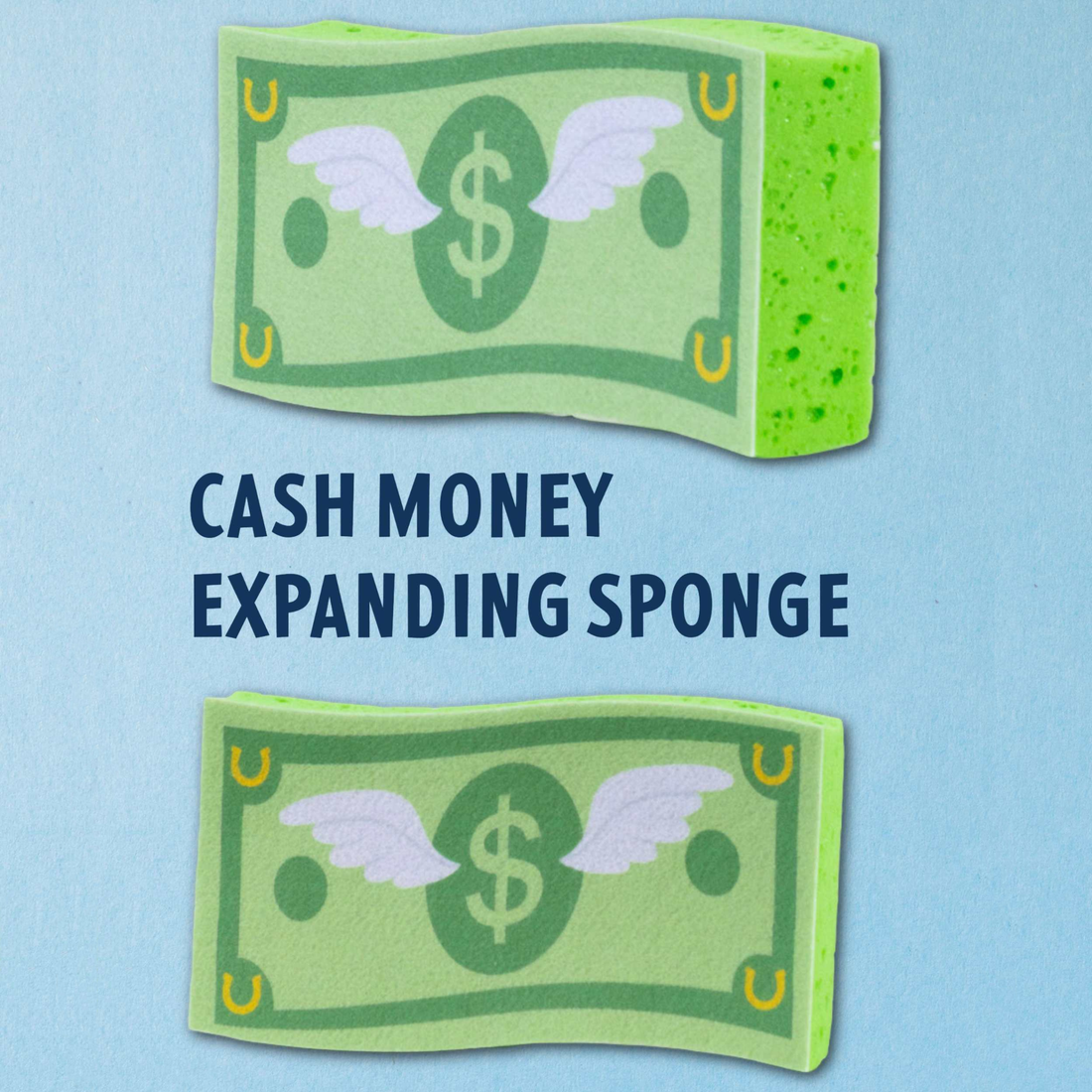Two green dreamers &amp; schemers expanding horse bath sponges shaped like dollar bills with wings and a dollar sign, shown on a light blue background with the text &