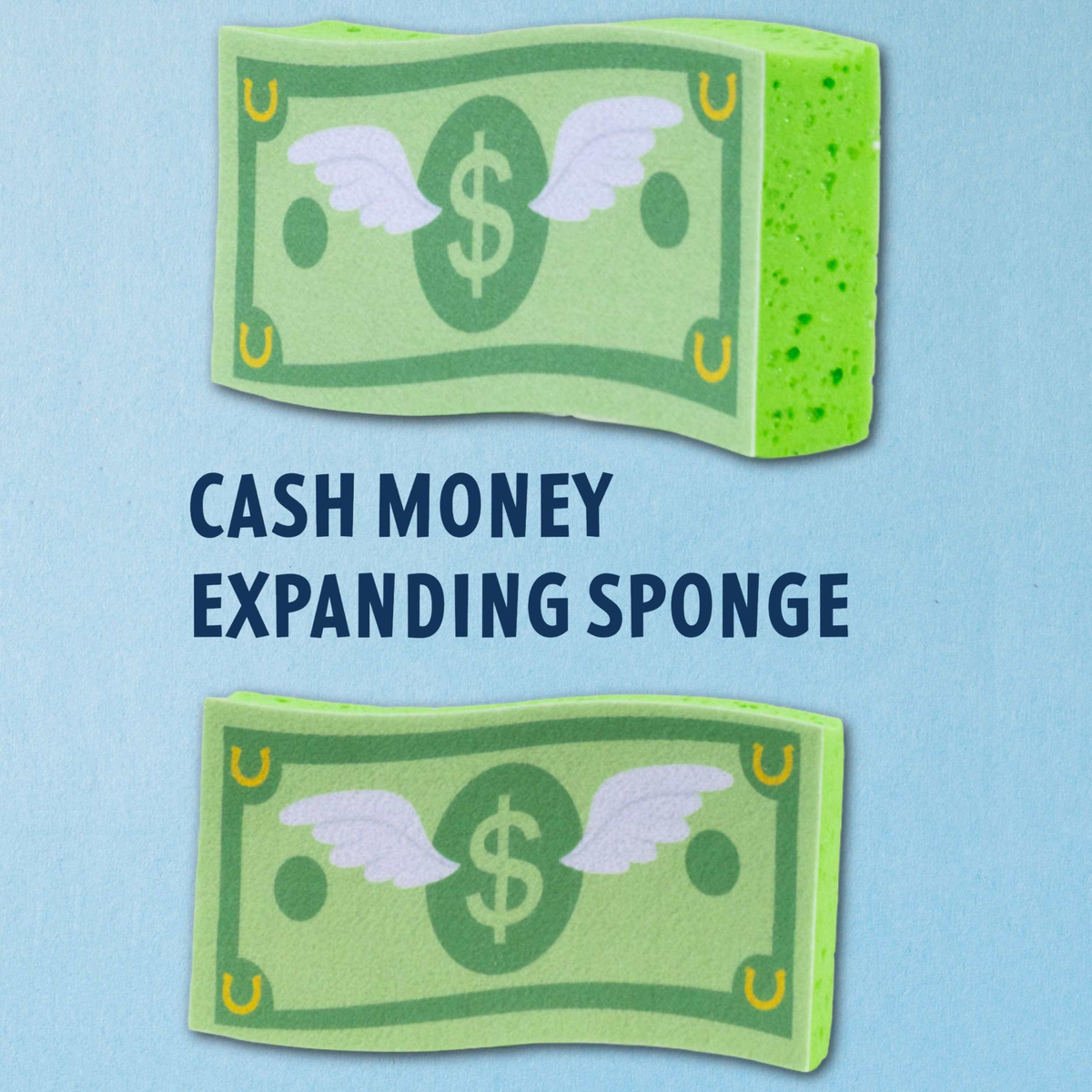 Two green dreamers &amp; schemers expanding horse bath sponges shaped like dollar bills with wings and a dollar sign, shown on a light blue background with the text &