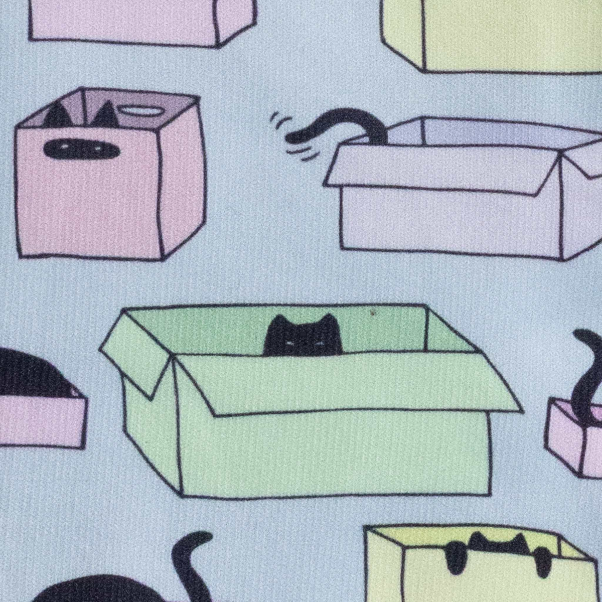 Dreamers &amp; Schemers Cat In A Box Pair &amp; A Spare Boot Socks