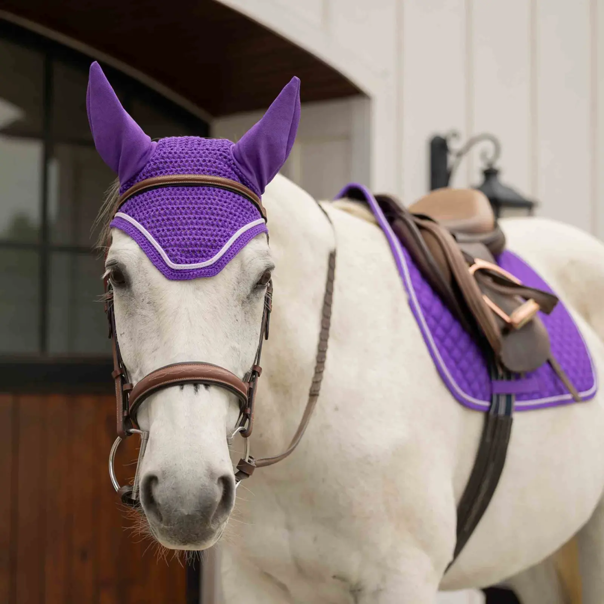 Equinavia Voss All Purpose Saddle Pad and Bonnet Set, Purple