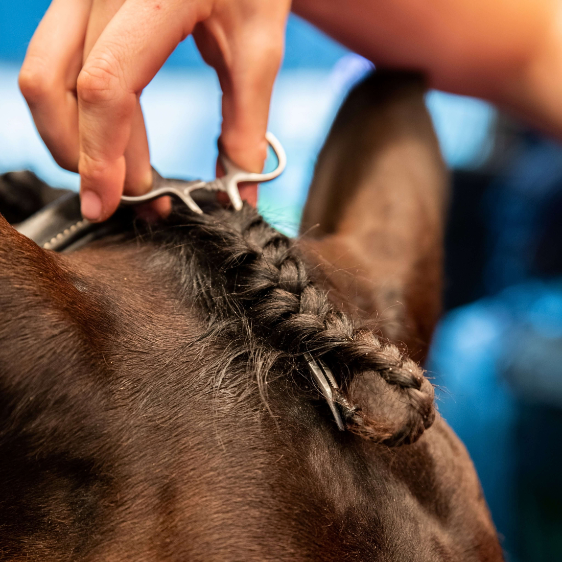 Smart Grooming Forelock Plaiting Grippers