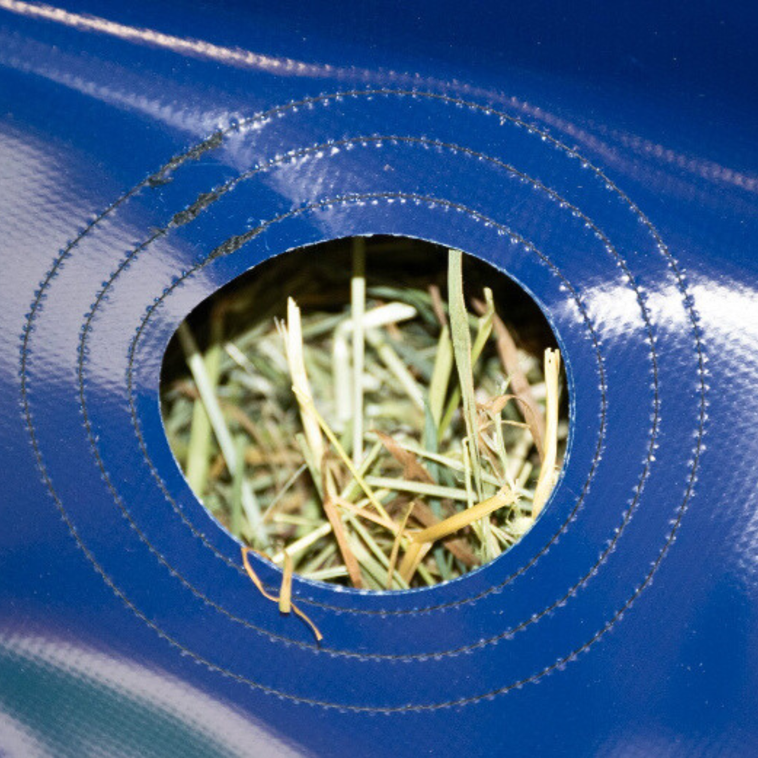 GreenGuard HayPlay Button Bag Slow Feed Hay Bag