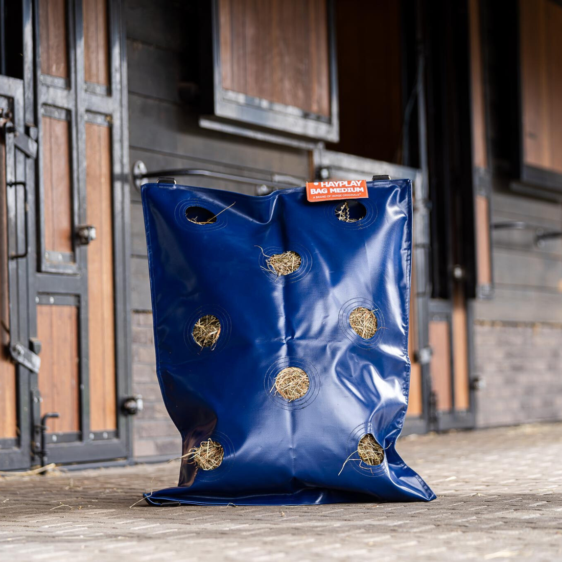 GreenGuard HayPlay Button Bag Slow Feed Hay Bag