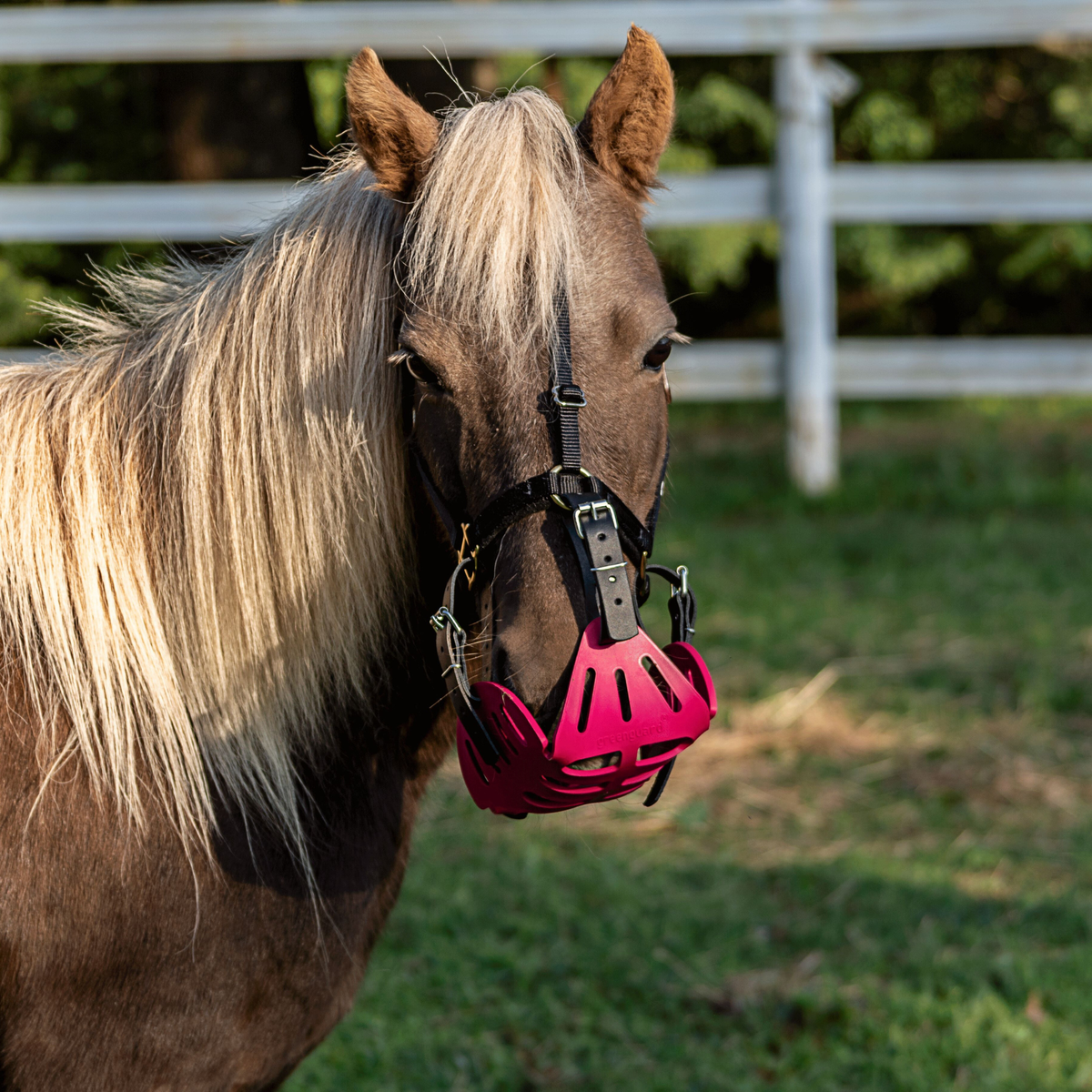GreenGuard Mini &amp; Small Pony Halter